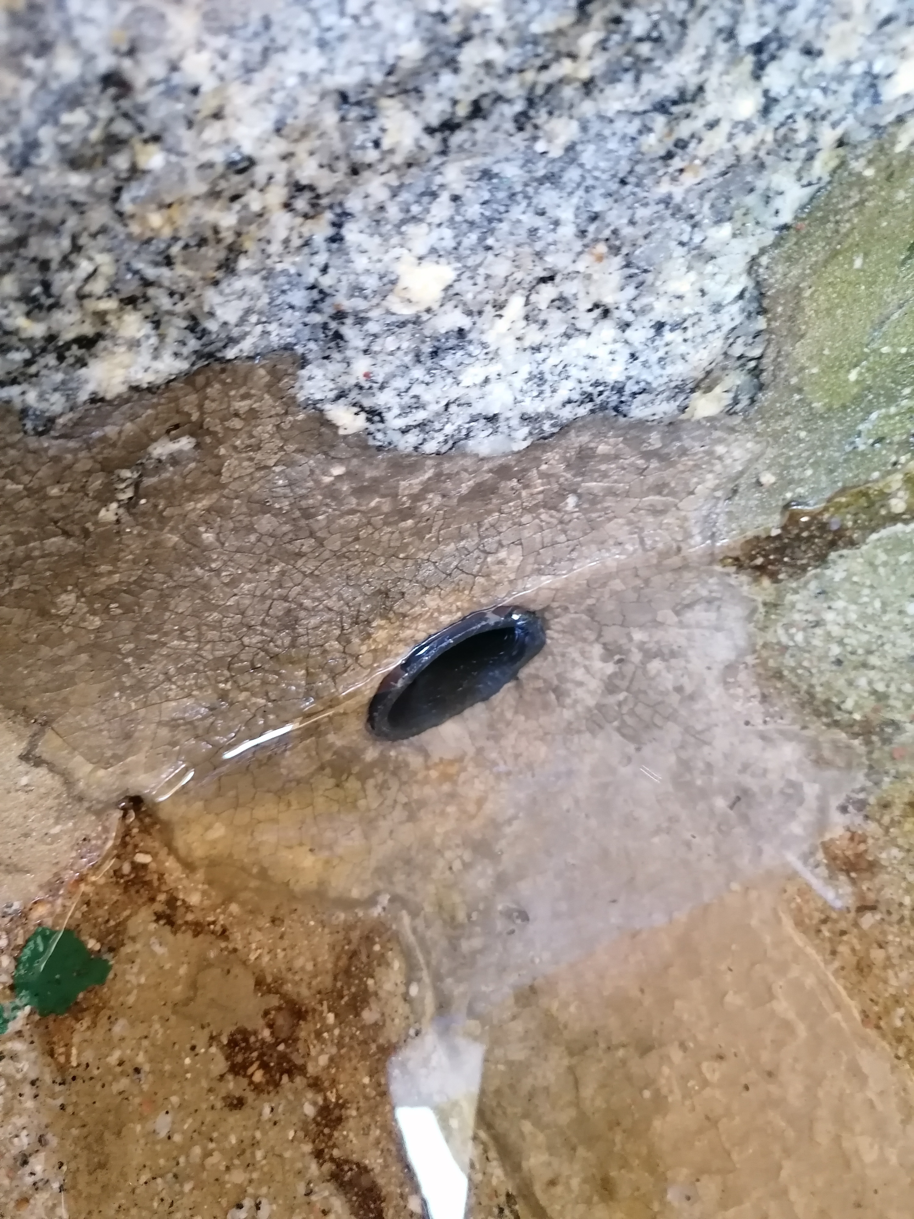 Saída de água do tanque